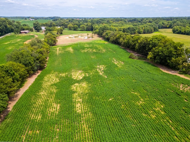 bird's eye view with a rural view