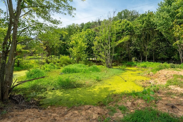 5016 Caney Sink Rd, Adams, TN 37010 - view of tree filled area