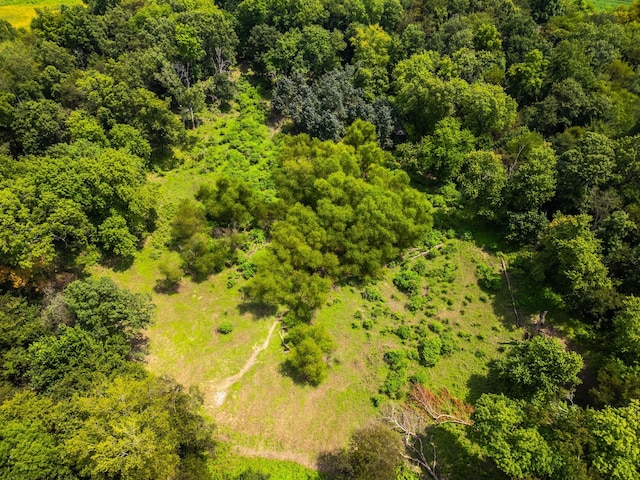 5016 Caney Sink Rd, Adams, TN 37010 - bird's eye view of a heavily wooded area