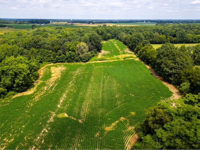 aerial view with a rural view