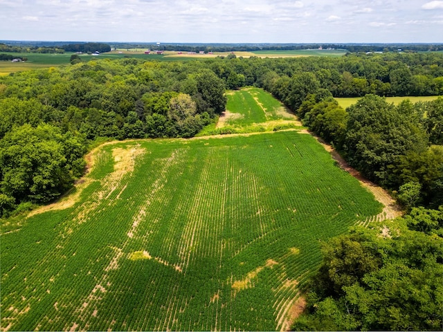 5016 Caney Sink Rd, Adams, TN 37010 - overview of rural landscape featuring extensive farmland