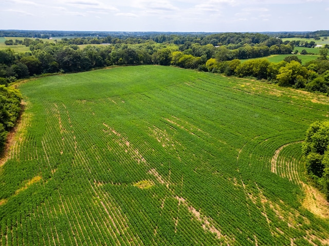 birds eye view of property featuring a rural view