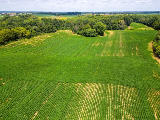 5016 Caney Sink Rd, Adams, TN 37010 - aerial view of sparsely populated area with large plots for crops