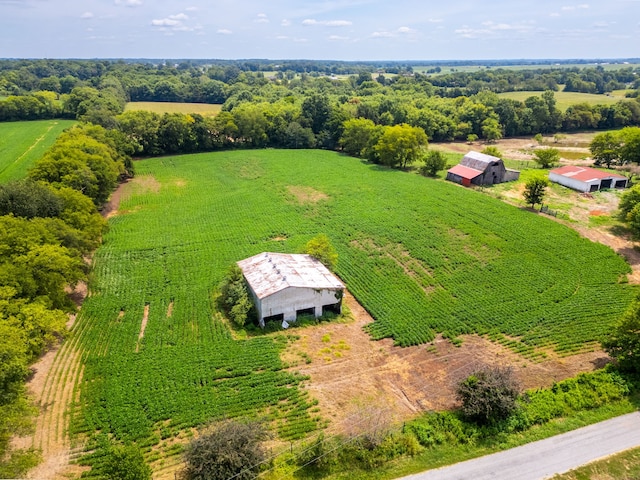 drone / aerial view featuring a rural view