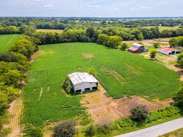 5016 Caney Sink Rd, Adams, TN 37010 - overview of rural landscape featuring large plots for crops