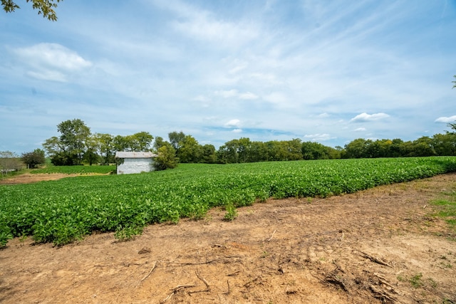 view of yard featuring a rural view