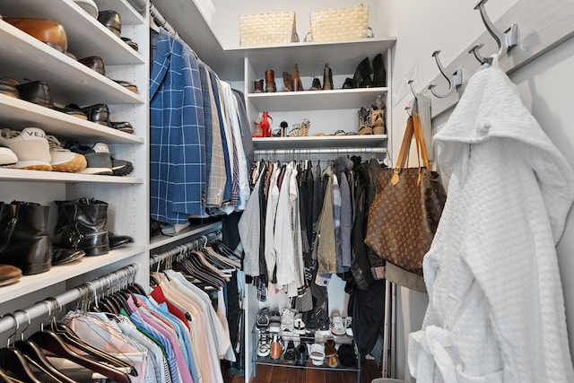 spacious closet featuring dark hardwood / wood-style flooring