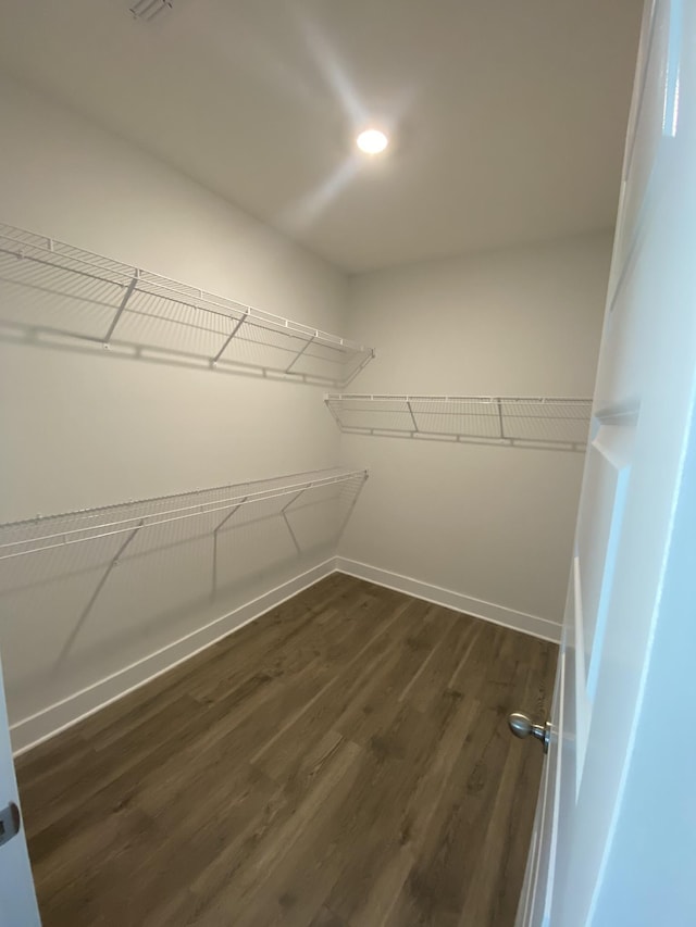 walk in closet featuring dark hardwood / wood-style floors