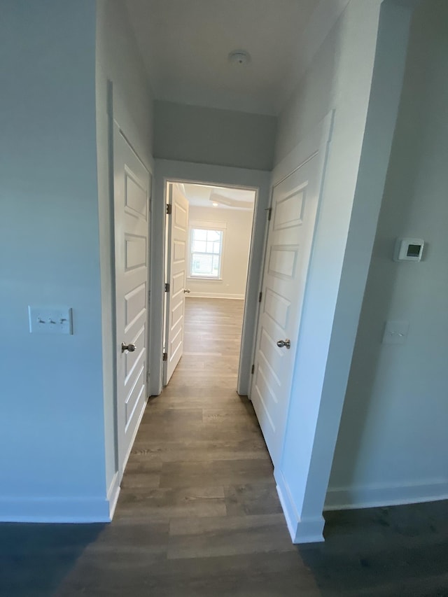 corridor featuring dark hardwood / wood-style floors