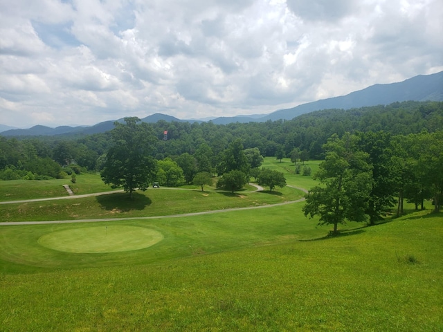 view of property's community with a mountain view and a lawn