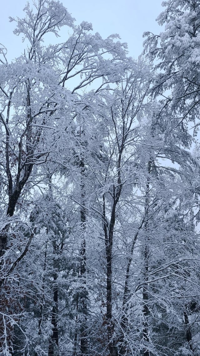 snowy view featuring a mountain view