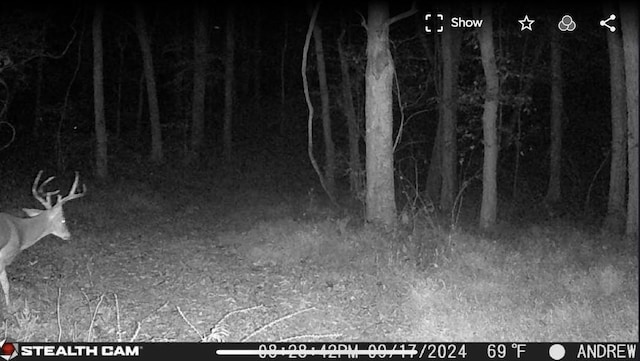0 Straight Creek Rd, Wartrace, TN 37183 - photo 22