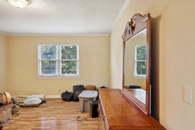 interior space with a textured ceiling, plenty of natural light, light hardwood / wood-style floors, and crown molding