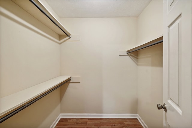 walk in closet with hardwood / wood-style floors