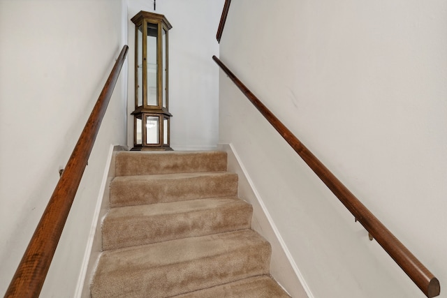 stairway featuring carpet