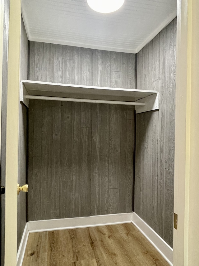 walk in closet with hardwood / wood-style floors