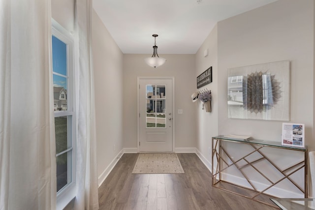 entryway with wood-type flooring