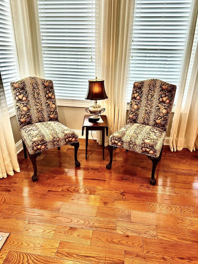 sitting room featuring wood-type flooring