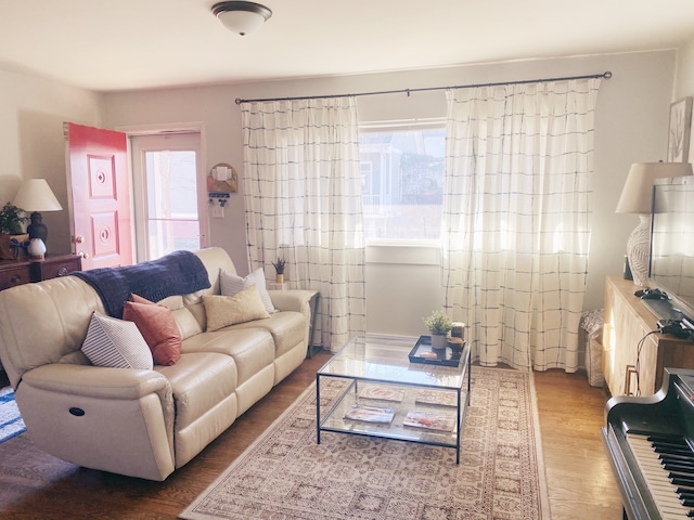 living room with wood-type flooring