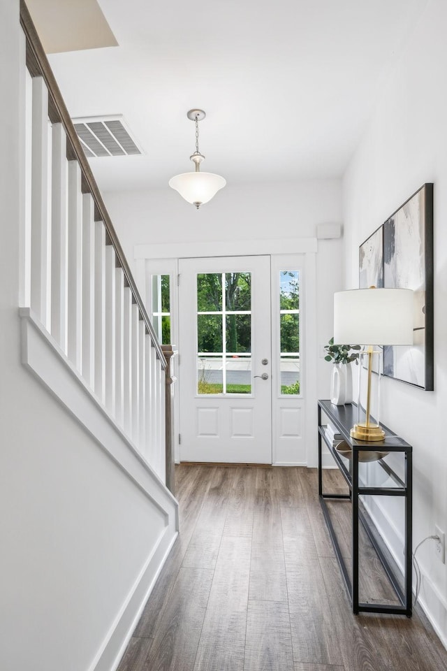 foyer entrance featuring dark wood-type flooring