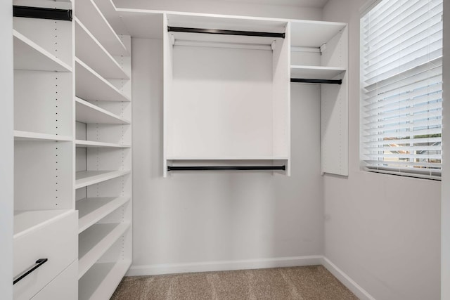 walk in closet with carpet