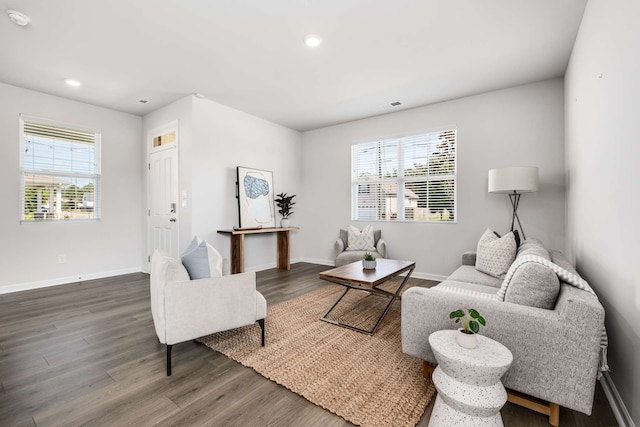 living room featuring wood-type flooring