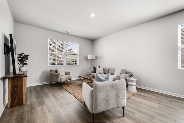 living room featuring hardwood / wood-style floors