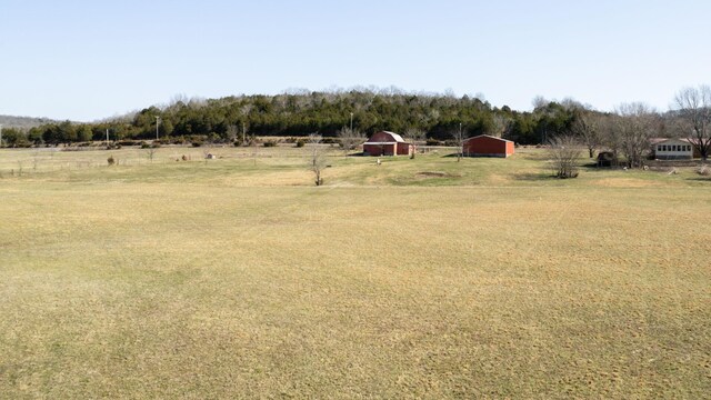 0 Bradyville Rd, Readyville, TN 37149 - photo 9