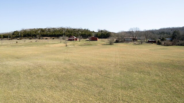 0 Bradyville Rd, Readyville, TN 37149 - photo 4