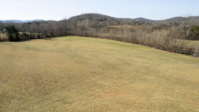 0 Bradyville Rd, Readyville, TN 37149 - photo 11