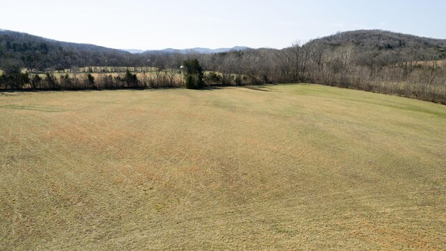 0 Bradyville Rd, Readyville, TN 37149 - photo 12
