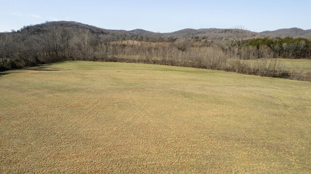 0 Bradyville Rd, Readyville, TN 37149 - photo 10