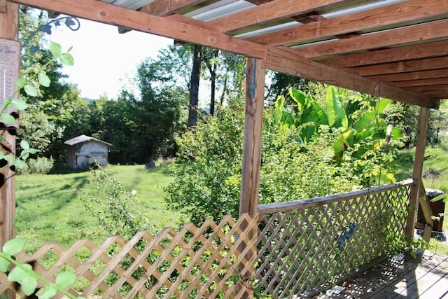 view of yard featuring a storage shed