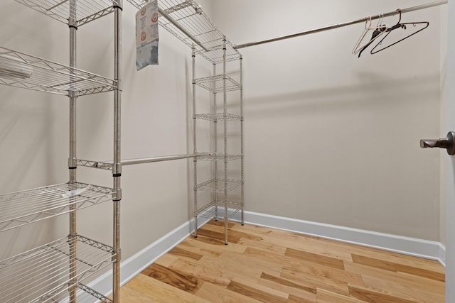 spacious closet featuring wood finished floors