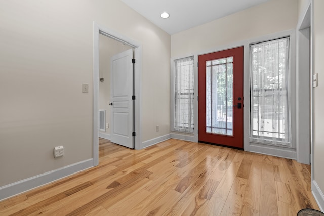 foyer with light wood-type flooring and a wealth of natural light