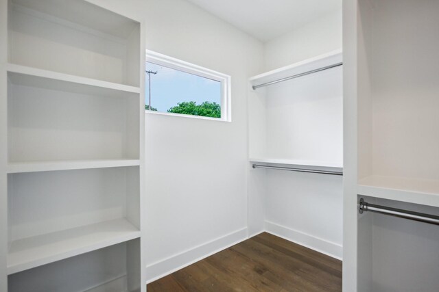 spacious closet with dark hardwood / wood-style flooring