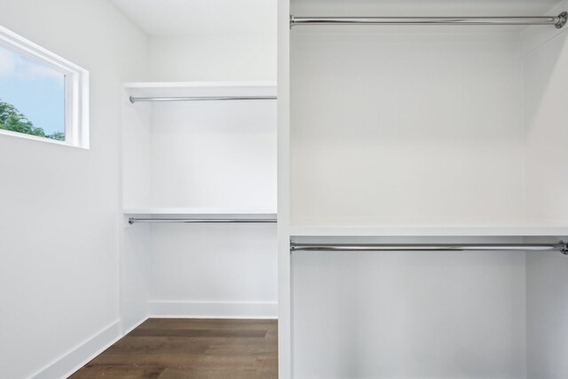 spacious closet featuring wood-type flooring