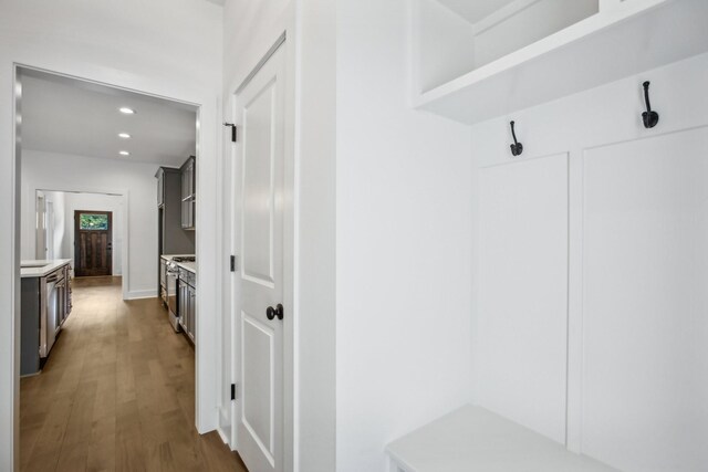 mudroom featuring wood-type flooring