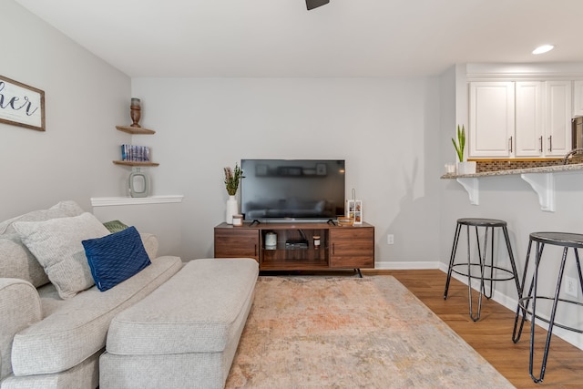 living room with light wood-type flooring