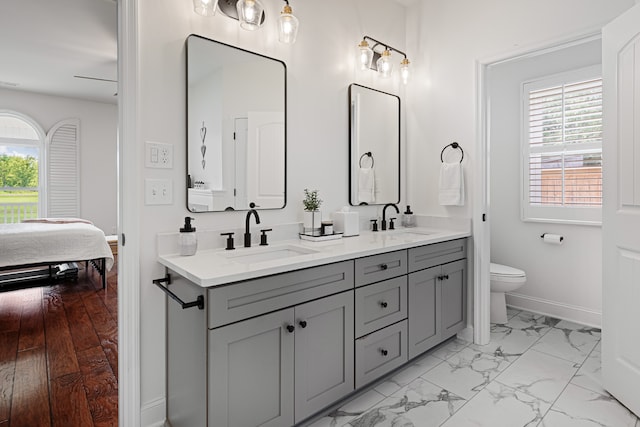 bathroom with toilet, vanity, and wood-type flooring