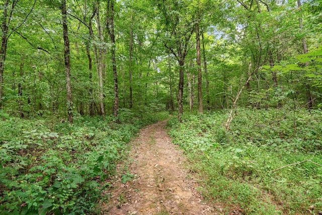 view of nature