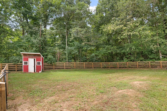 view of yard with a shed