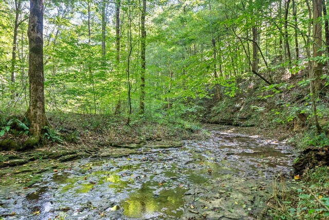 view of nature with a water view