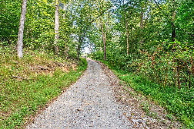 view of street