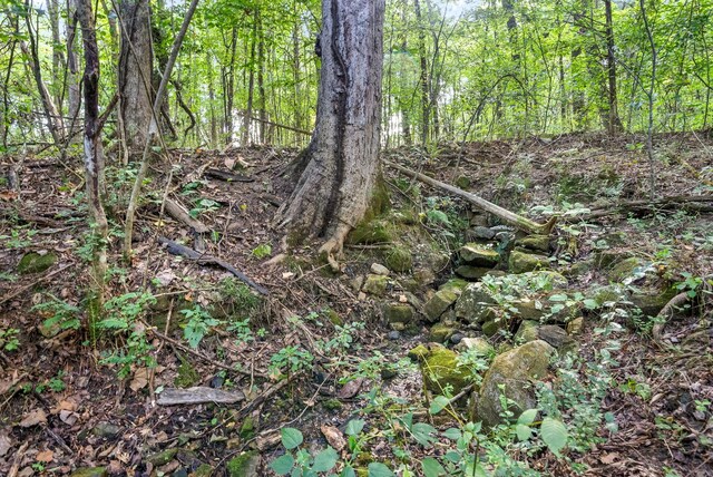 view of landscape