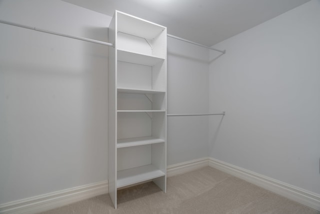 spacious closet featuring carpet flooring