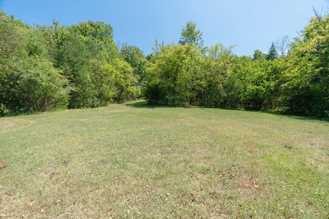 view of yard with a view of trees