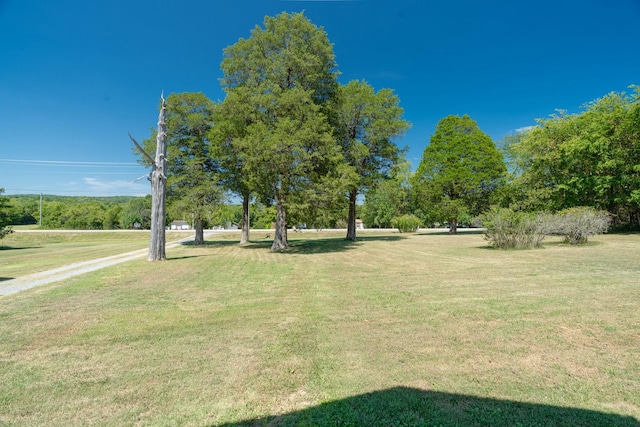 view of home's community with a yard