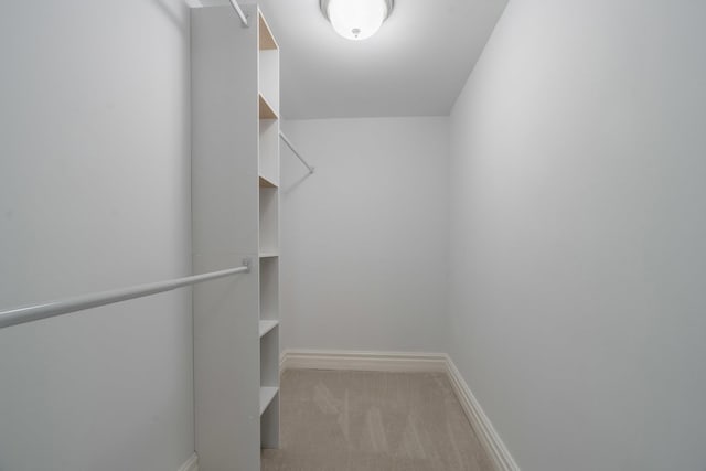 walk in closet with light colored carpet