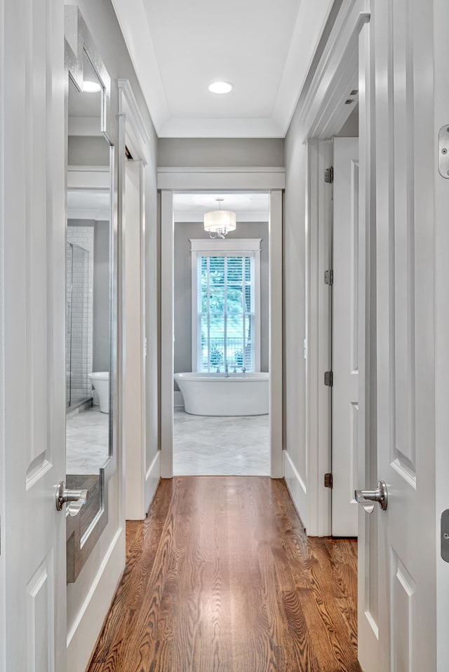 hallway featuring wood-type flooring